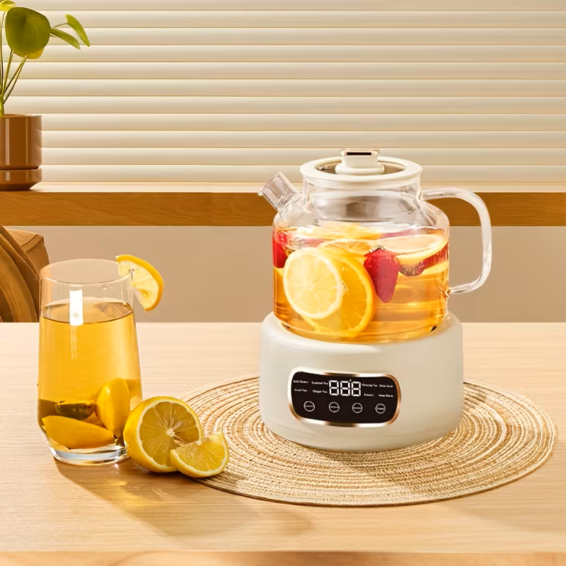 Multifunctional 110V Electric Kettle and Health Tea Stew Pot